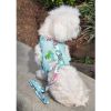 Dog Harness with Leash