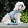 Dog Harness with Leash