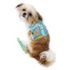 Dog Harness with Leash