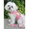 Dog Harness with Leash
