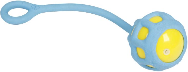 TPR Dog Toy, for 'Tug-O-Warp' Fetching Tugging and Chew Squeaking (Color: Blue)