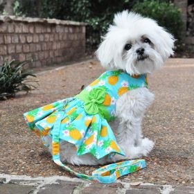 Dog Harness Dress with Matching Leash (size: X-Small)