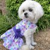 Purple Butterfly, Dog Dress with Matching Leash