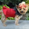 Dog Coat Harness and Fur Collar with Matching Leash