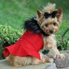 Dog Coat Harness and Fur Collar with Matching Leash